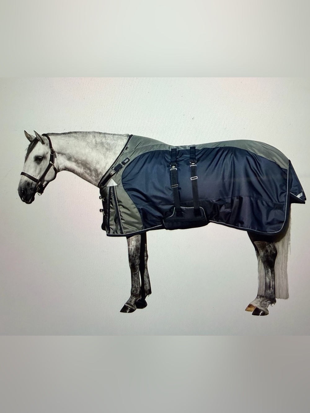 ARMORFlex Warrior II VTEK Wither Relief Adj-Fit Turnout Blanket, Size 74,
